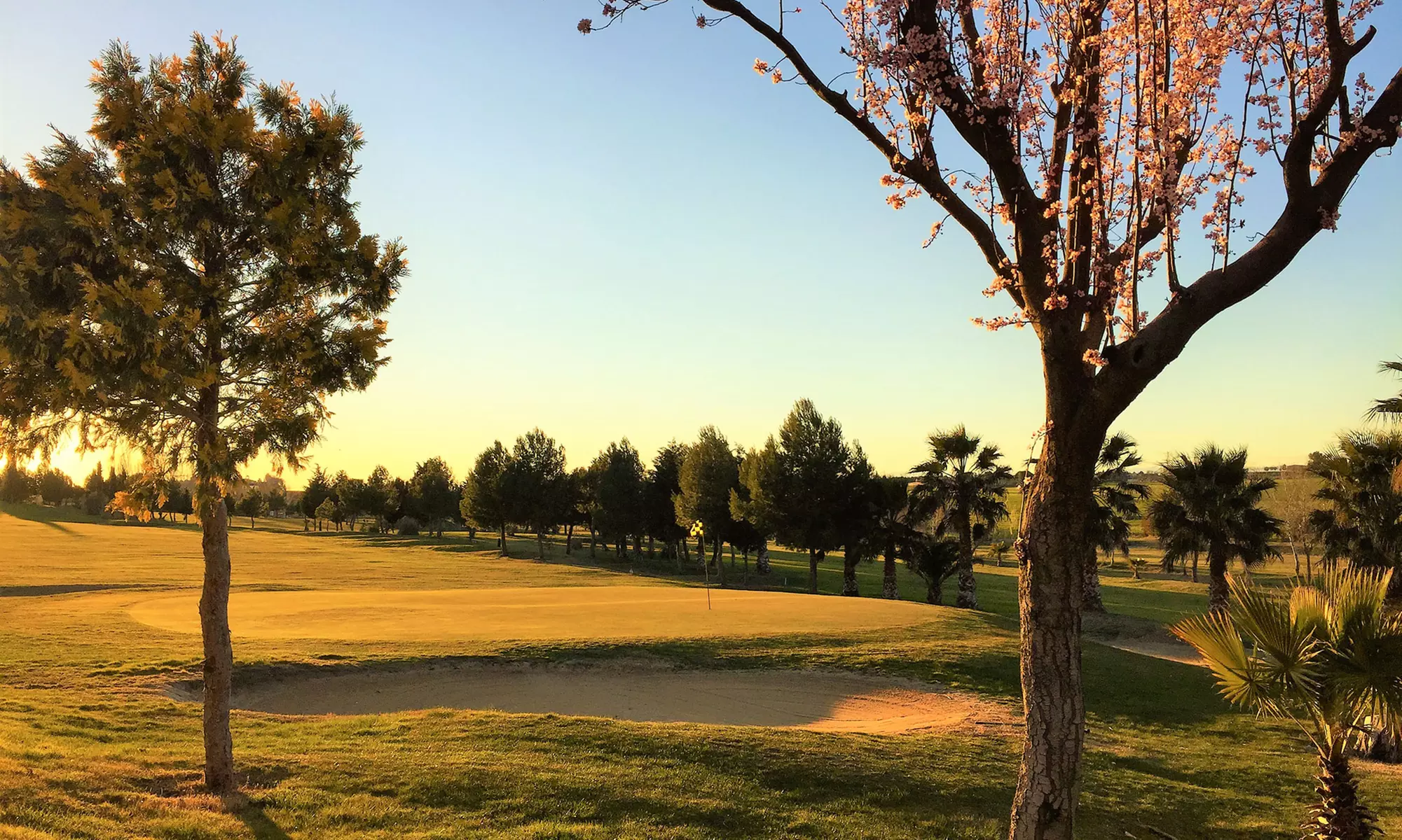Green Fee de 18 hoyos para 2 desde 14,95 €  en Campo de Golf Pablo Hernández - Primary Image