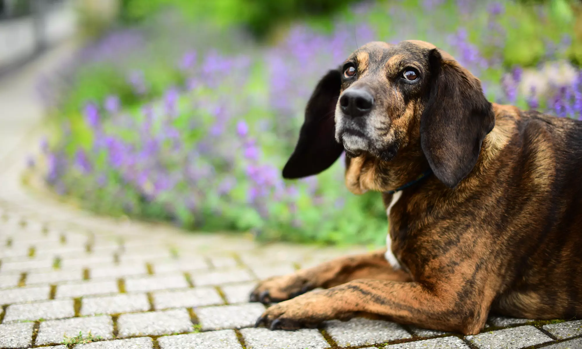 60 Min. Outdoor-Fotoshooting