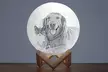 Personalized 3D Moon Lamp: Customizable, LED Light, Perfect Gift for Friends, Family, and Loved Ones (Save 87%) - Image 6