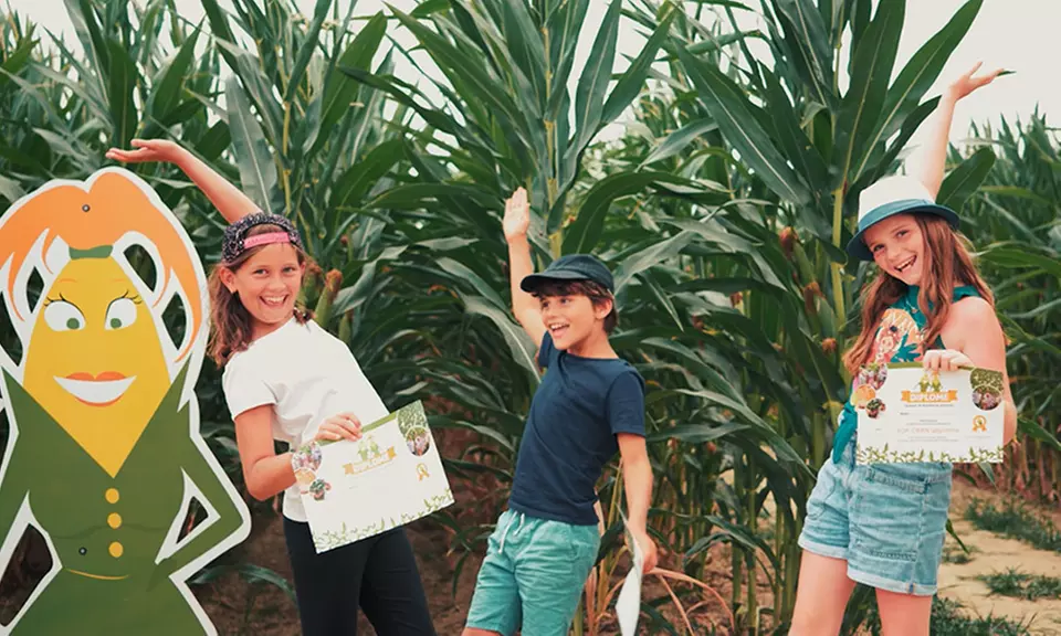 Entrée au Pop Corn Labyrinthe de maïs à Thélus le matin ou l'après midi (19% de réduction) - Second Medium