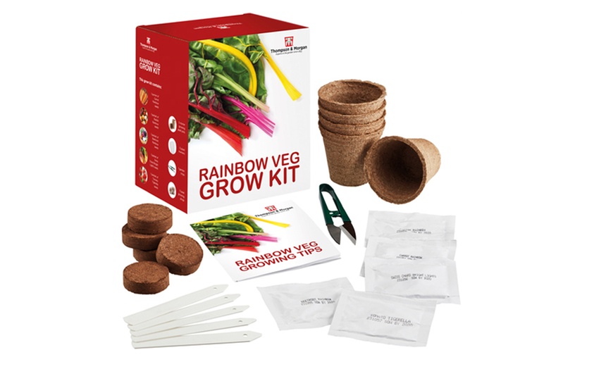 Image 21: Mixed Seed Grow Kits