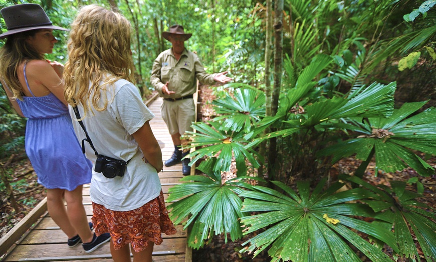 Image 6: Daintree and Cape Tribulation: 1-Day 4WD Experience for Up to 4