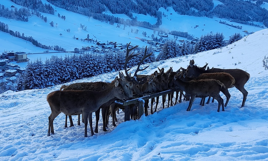 Image 2: 2 Std. winterlich-romantische Pferdekutschen-Fahrt für 2 - 6 Personen