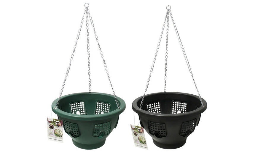 Image 1: Two, Three or Four Flower Bloom Hanging Baskets