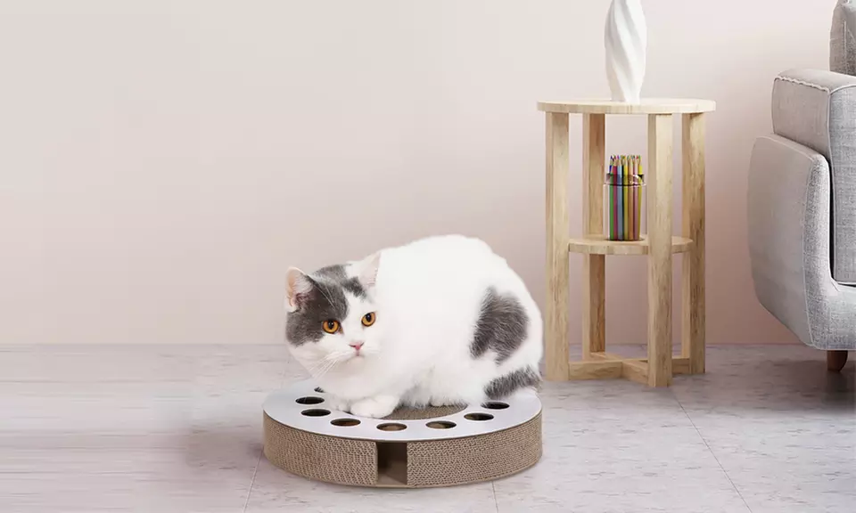 Tavolette tiragraffi in cartone riciclato per gatti