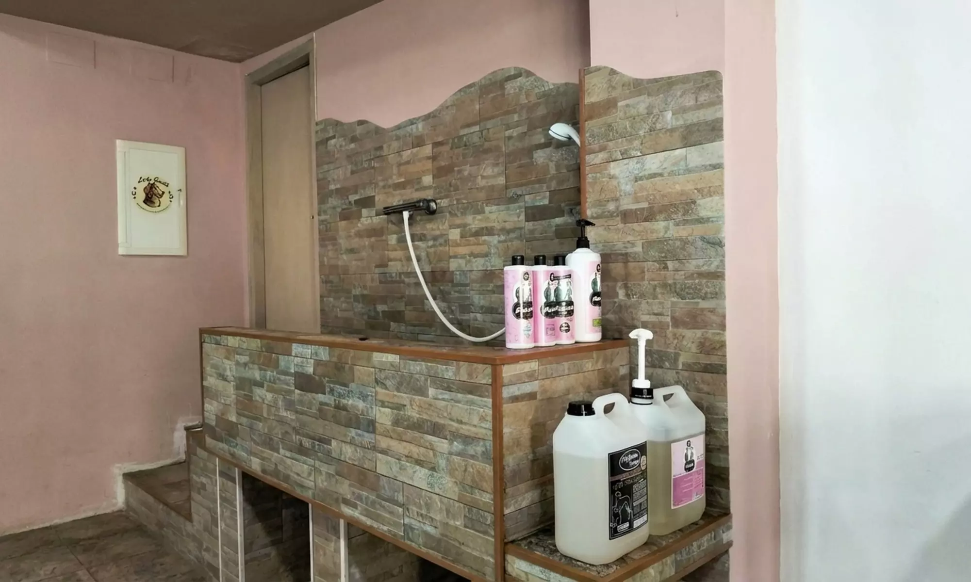 Sesión de peluquería canina con opción a corte