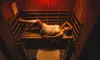 1, 3 or 6 - 60 Minute Sessions in Our Full Spectrum Infrared Sauna at Recharge Wellness Odenton - Up to 30% Off