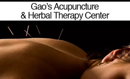 $40 for a One-Hour Session Including Herbal & Acupuncture Consultation at Gao's Acupuncture & Herbal Therapy Center ($120 Value) - Primary Image