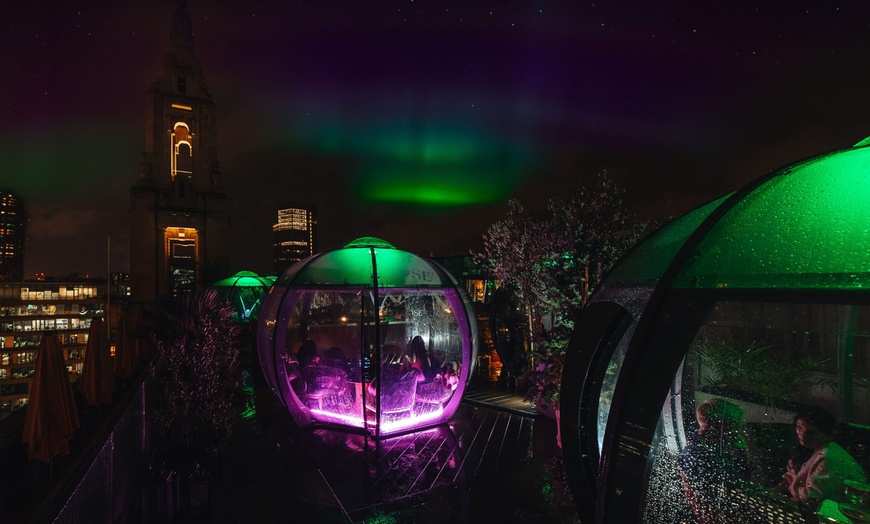 Image 9: Magical Nordic Nights Igloos | Aviary Rooftop Restaurant