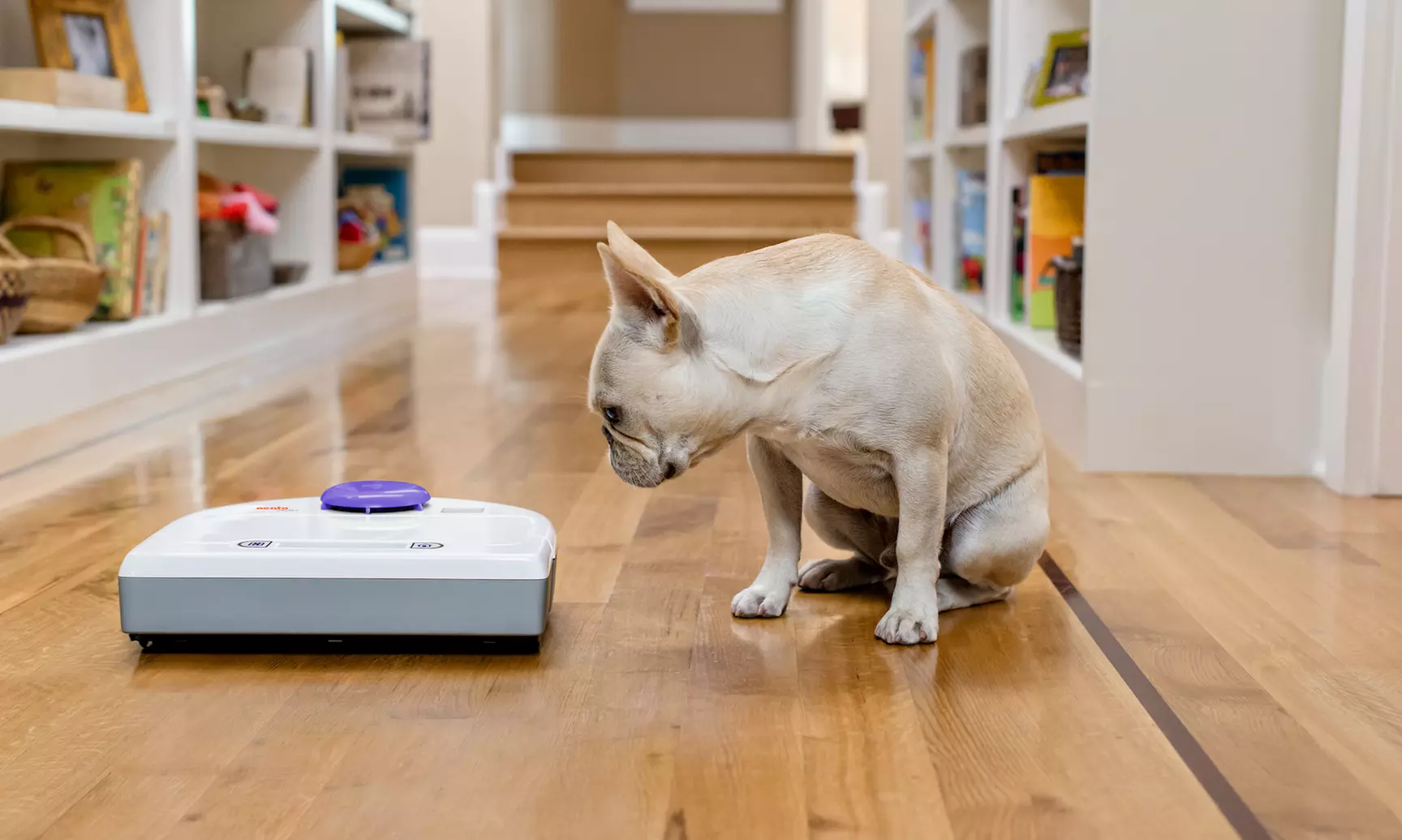 Neato Botvac 80 Robotic Vacuum (Certified Refurbished) - Primary Image