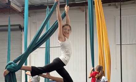 June 15 - June 19 | Youth Summer Camp for One (Ages 7+) - Aerial Revolution Entertainment - San Diego, CA