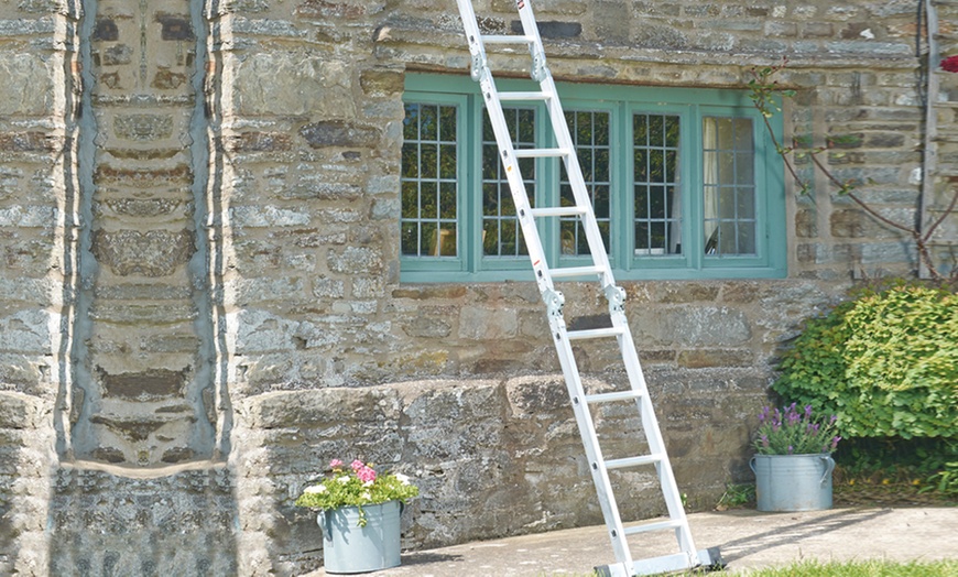 Image 5: Pro-Articulated Ladder