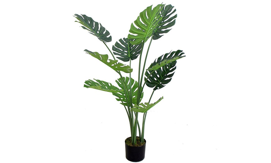 Image 2: Choice of Leaf Artificial Monstera Cheese Plant