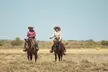 Morning or Dinner Tour Package with Lunch for a Child or One or Two Adults (Up to 35% Off) - Second Medium