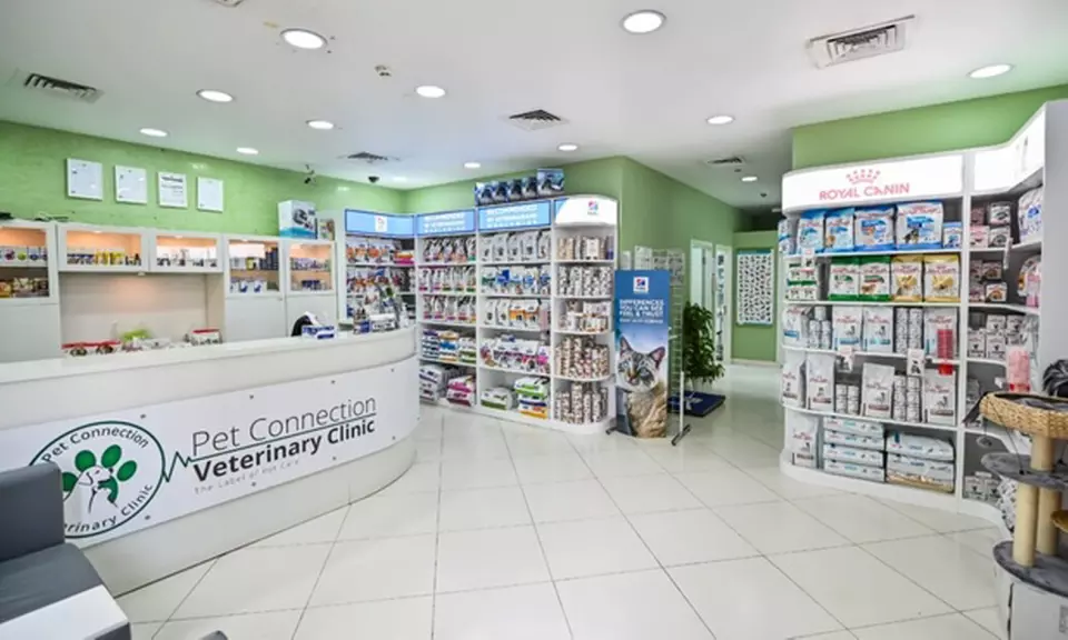 Veterinary Examination at Pet Connection Veterinary Clinic