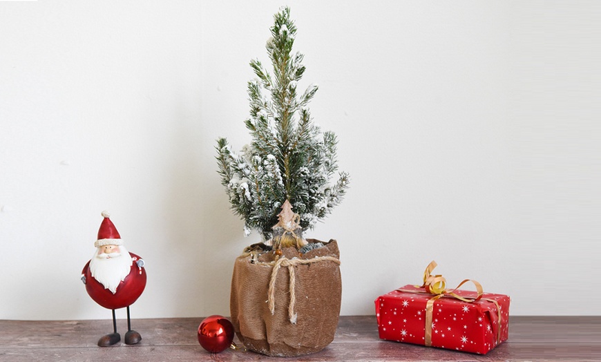 Image 4: One or Two Indoor Christmas Trees in Velvet Bags