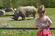 Entrée 1 jour, adulte ou enfant, pour le ZooParc de Beauval (26% de réduction) - Image 4