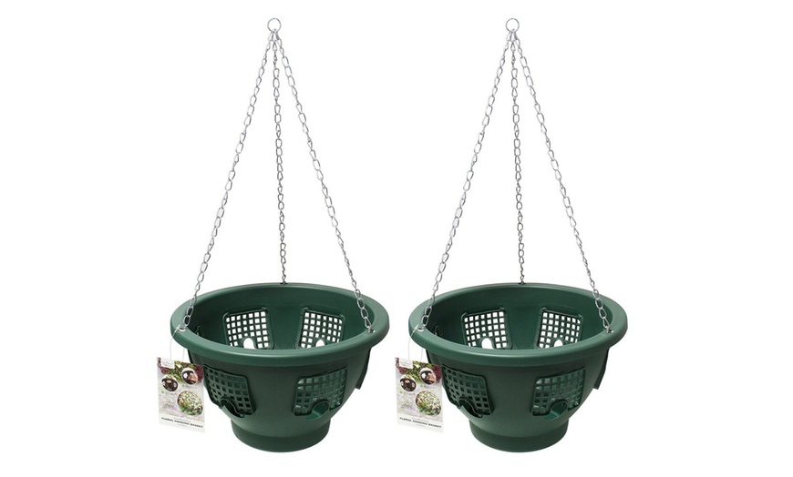 Image 5: Two, Three or Four Flower Bloom Hanging Baskets