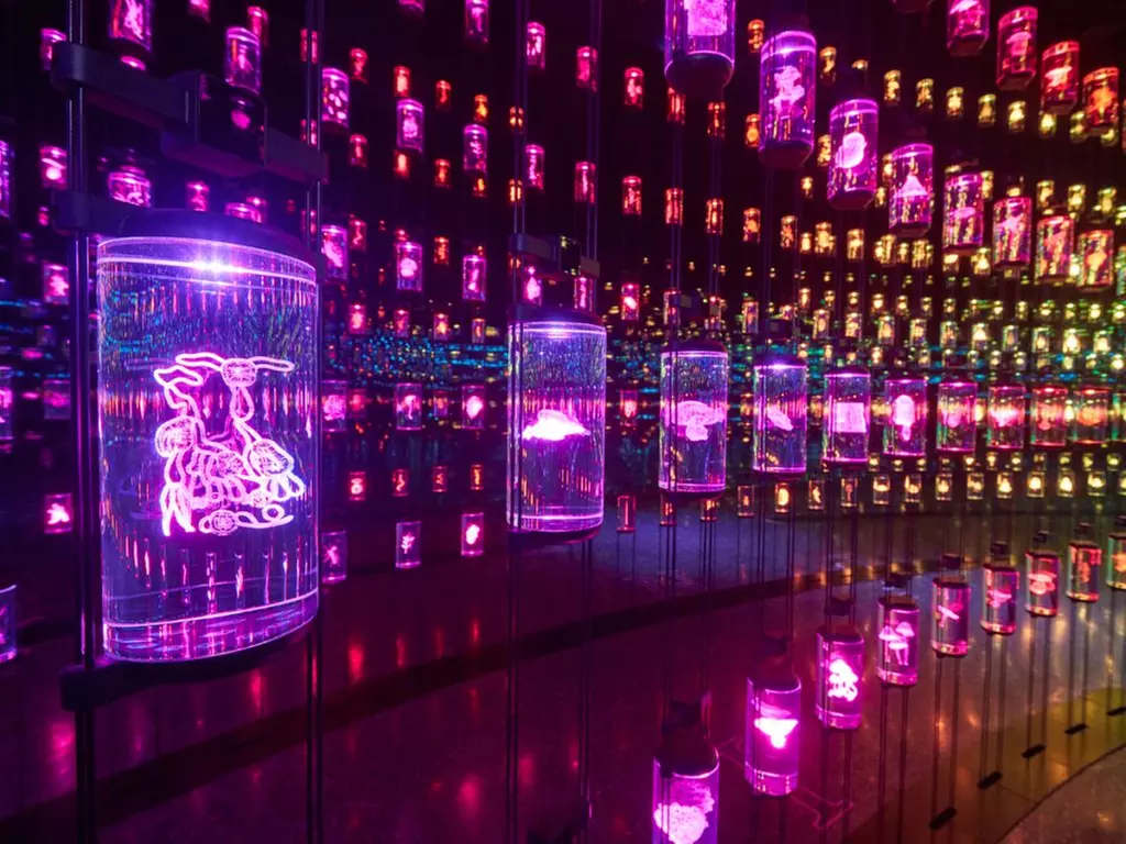 Entry Ticket to Museum and IMG Worlds at IMG Worlds of Adventure(SGT)