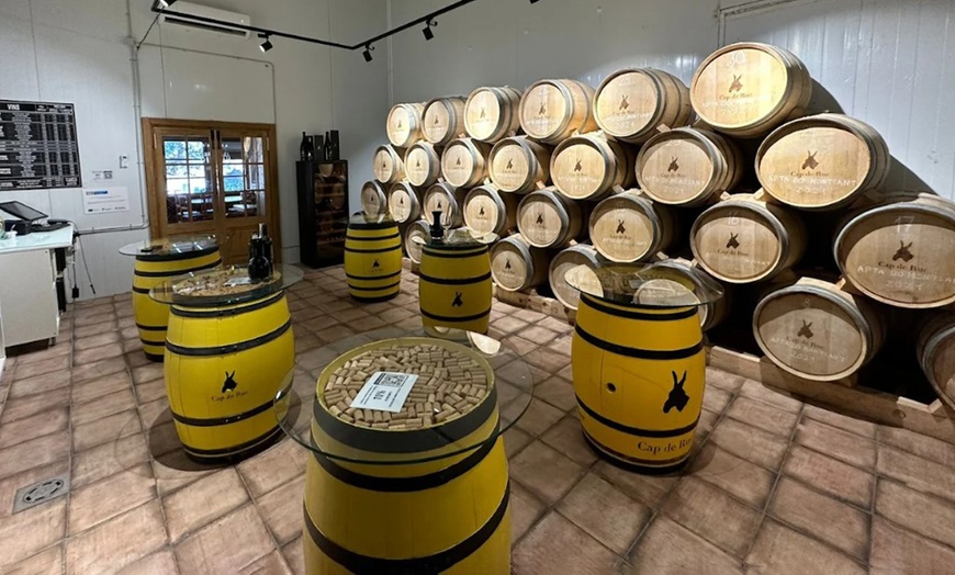 Image 3: Visita y cata de vinos alta gama