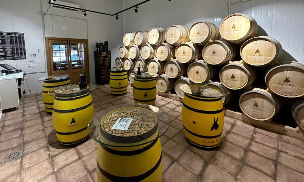 Visita y cata de vinos alta gama