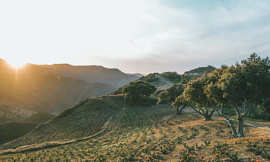 Image 5: (Up to 16% Off) Double the Thrill: Hike & Zipline Packages for 2 or 4