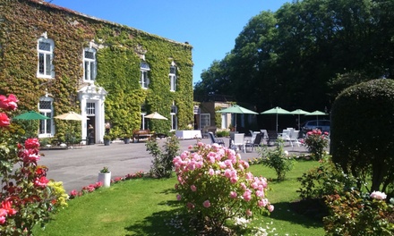 Festive Afternoon Tea with Santa - For 1 Adult - Hardwicke Hall Manor Hotel - Non-Accommodation