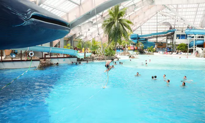 Accès illimité aux clubs Forest Hill