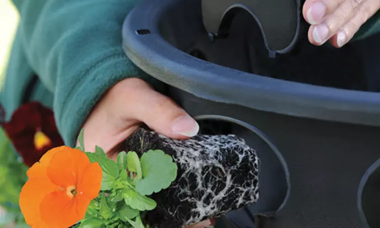 Garden Hanging Basket Collection