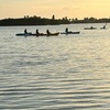 Image 6: 4-Hour Rental of Single Kayak, Tandem Kayak, or Stand-up Paddleboard