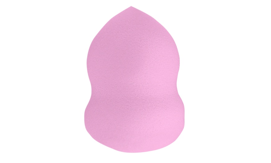 Image 8: Blending Sponge