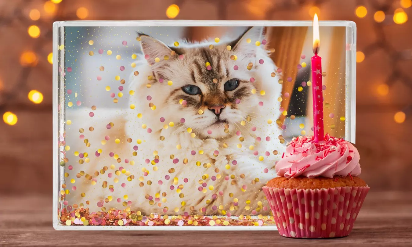 1 bloc photo acrylique personnalisable avec remplissage au choix sur Hellodeco (jusqu'à 67% de réduction) - Image 6