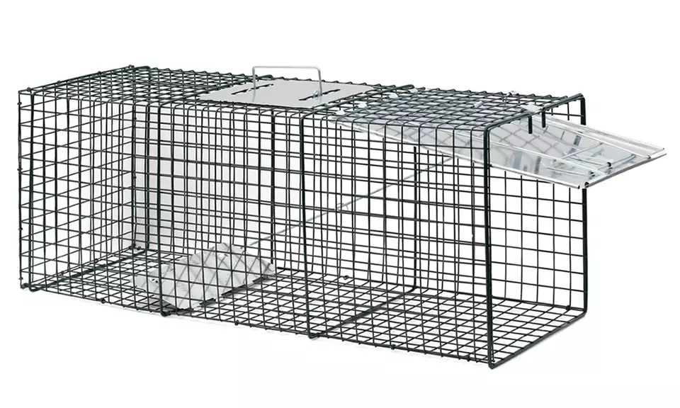 Humane Pest and Rodent Live Trap - Second Medium