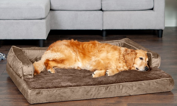 Groupon orthopedic dog bed sale