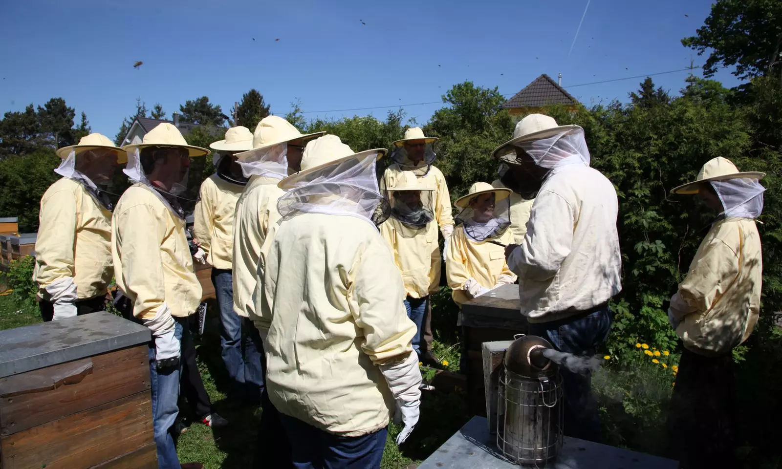 4 Std. Imker-Schnupperkurs inkl. 2 Gläser Bio-Honig für 1-2 Personen
