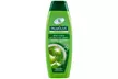 Special Beauty Box Palmolive, 3 shampoo, 6 bagnoschiuma e 2 saponi - Image 7