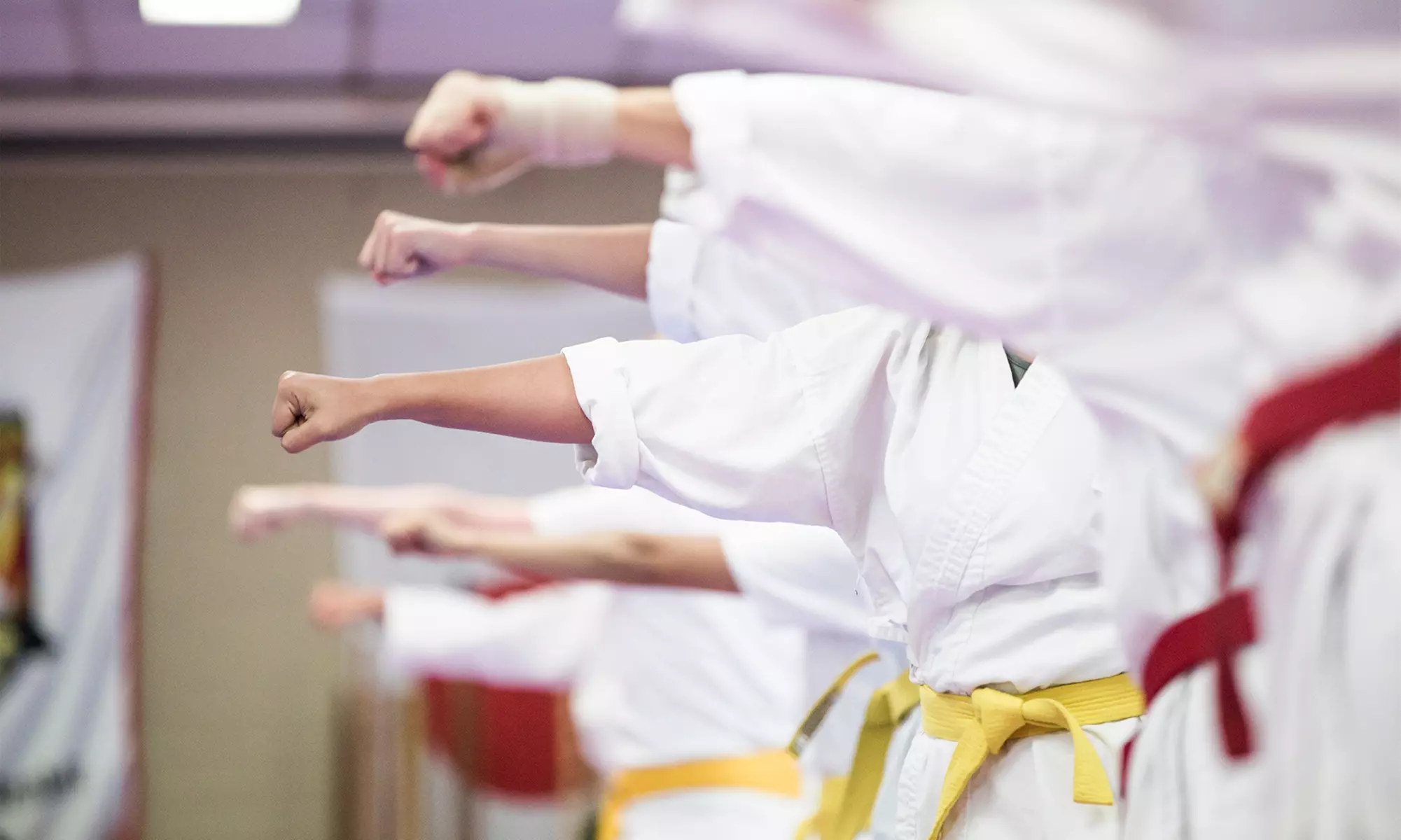 Three Martial Arts Classes