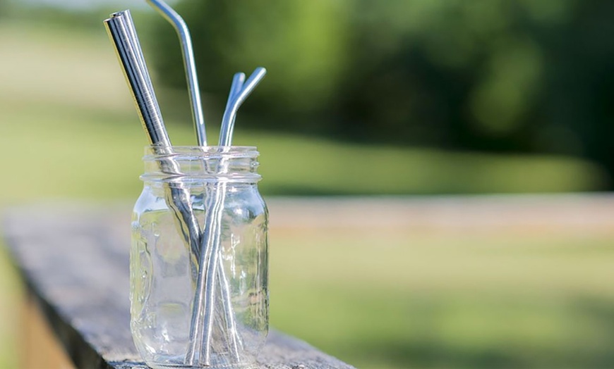 Image 10: 8-Piece Stainless Steel Straw Set