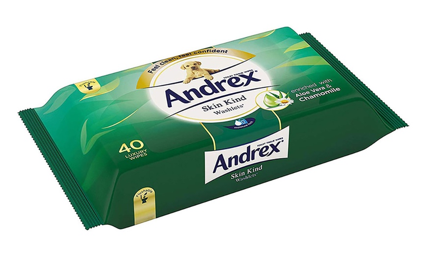 Image 20: Andrex Flushable Wipes
