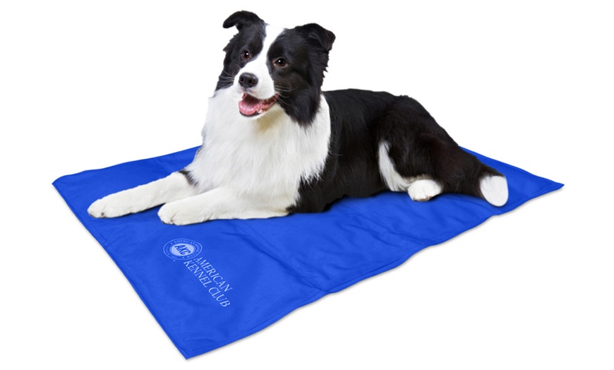 American kennel clearance club cooling mat