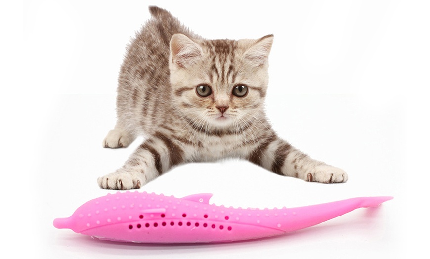 Image 3: Silicone Toothbrush Toy for Cats