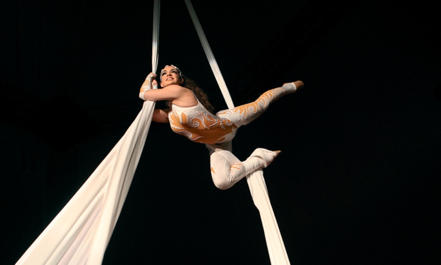 Image 2: The Netherlands National Circus