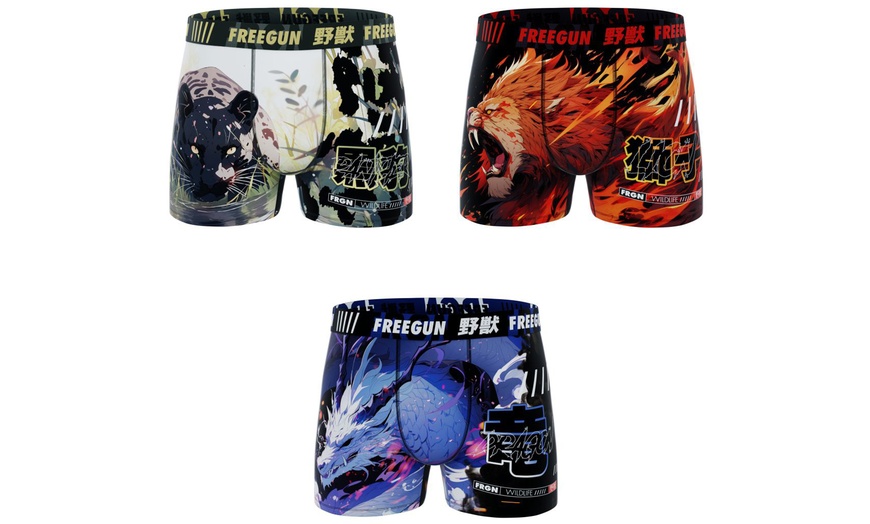 Image 10: Lot de 3, 4 ou 5 boxers pour homme en microfibre Freegun