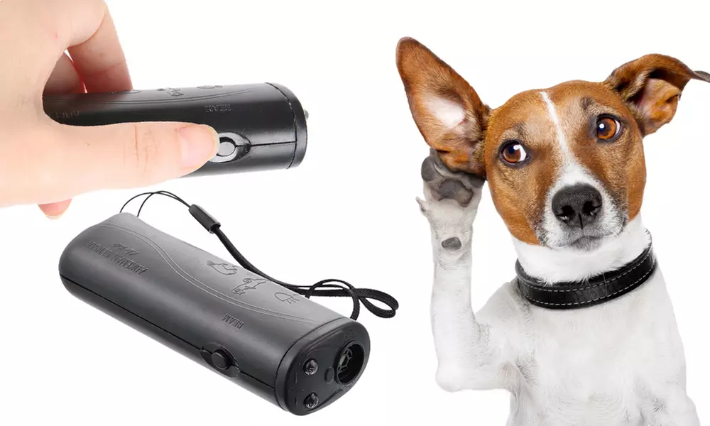 1 o 2 dispositivi di addestramento per cani portatile - Primary Image