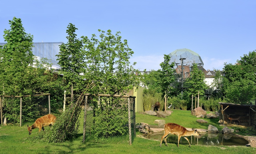 Image 14: Tageskarte Kölner Zoo & Aquarium