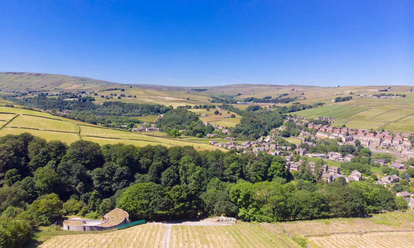 Vineyard Tour with Wine Tasting & Afternoon Tea for up to 4 People