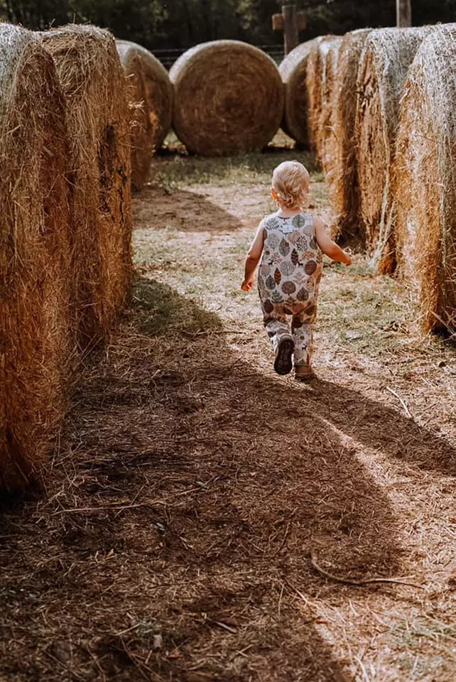 Admission For One, Two, or Four To Pumpkin Patch With Activities!