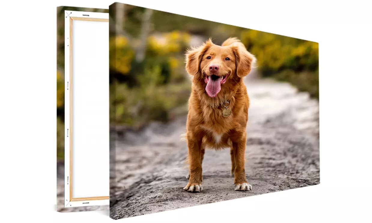 Photos sur toile personnalisée, dimensions au choix avec Hello Deco