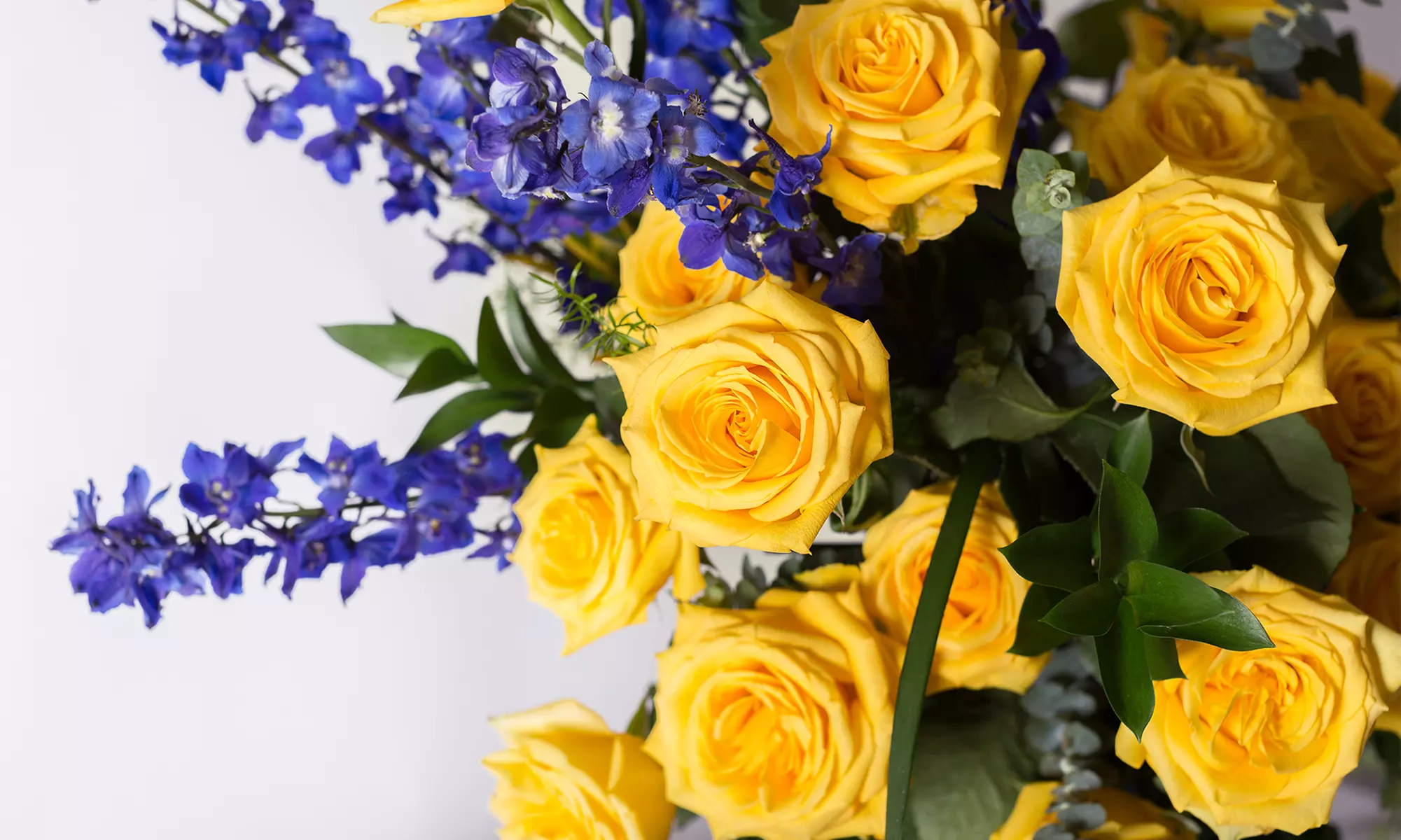 Elevate Every Occasion with Rose Farmers: Luxury Flowers & Bouquets!  (Up To 72% Off)