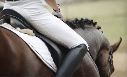 One or Three Private Horse-Riding Lessons at Rushlow's Arabians in Romulus (Up to 65% Off) - Primary Image